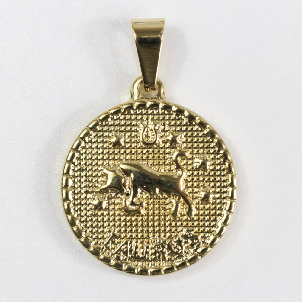 Zodiac Coin Necklace | Astrological Sign Pendent | Artisans Boutique