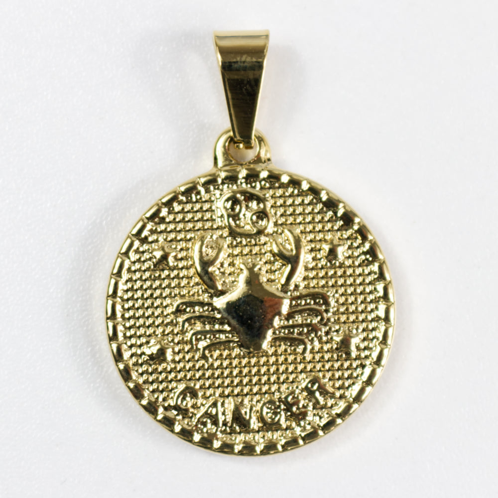 Zodiac Coin Necklace | Astrological Sign Pendent | Artisans Boutique