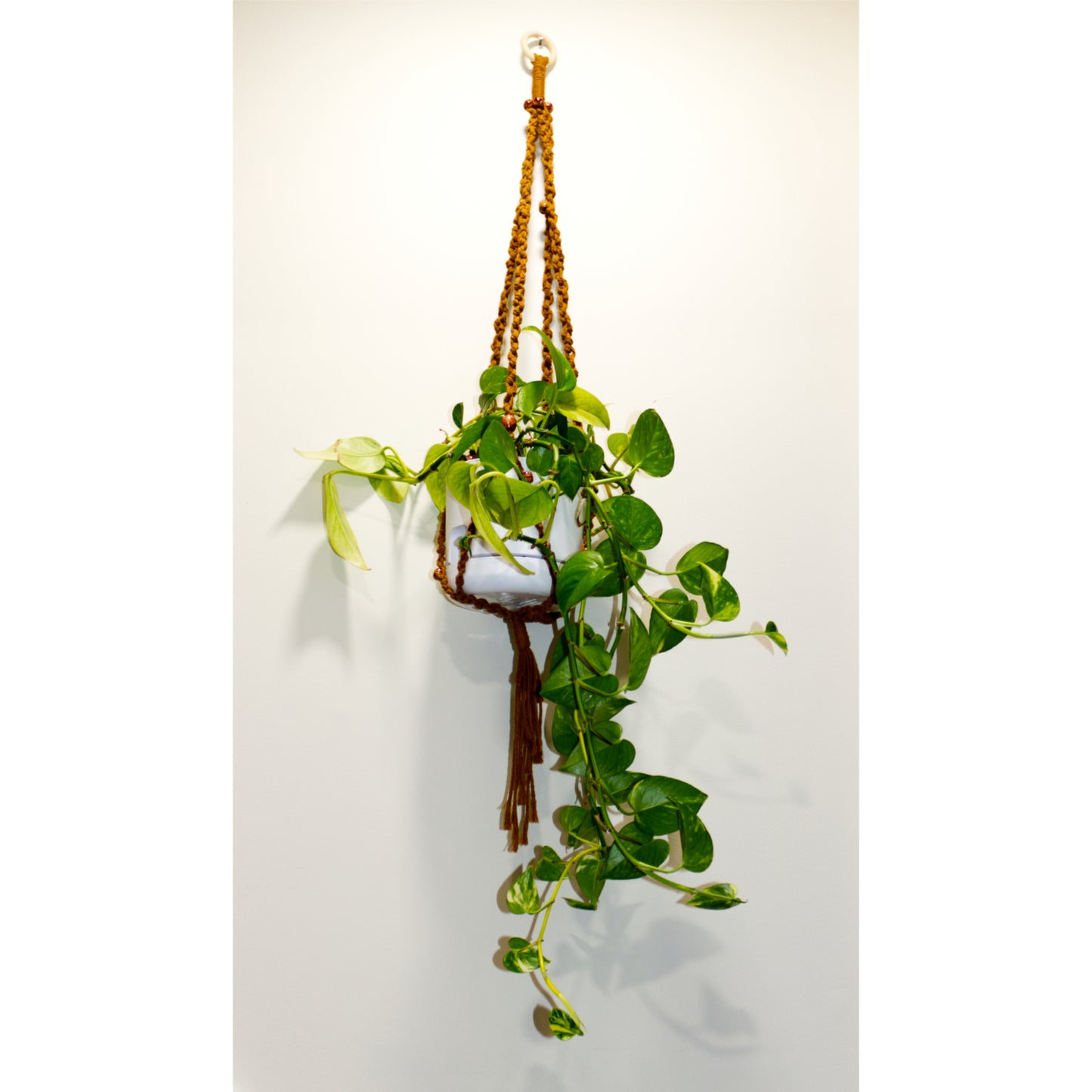 Boho Plant Hanger | Macramé Plant Hanger 1 | Artisans Boutique